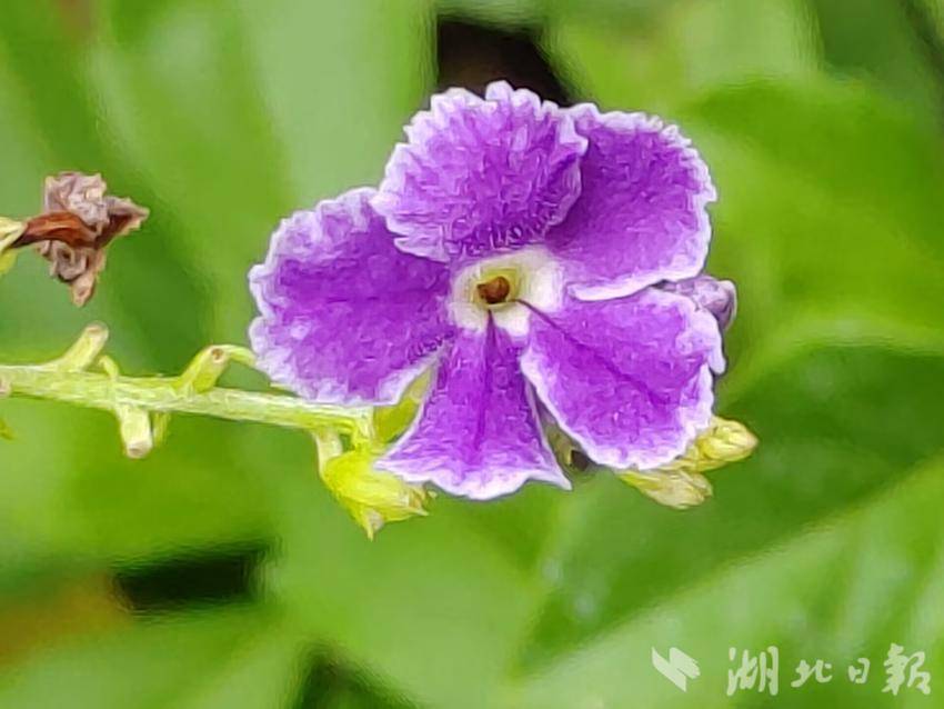 宝马线路检测中心